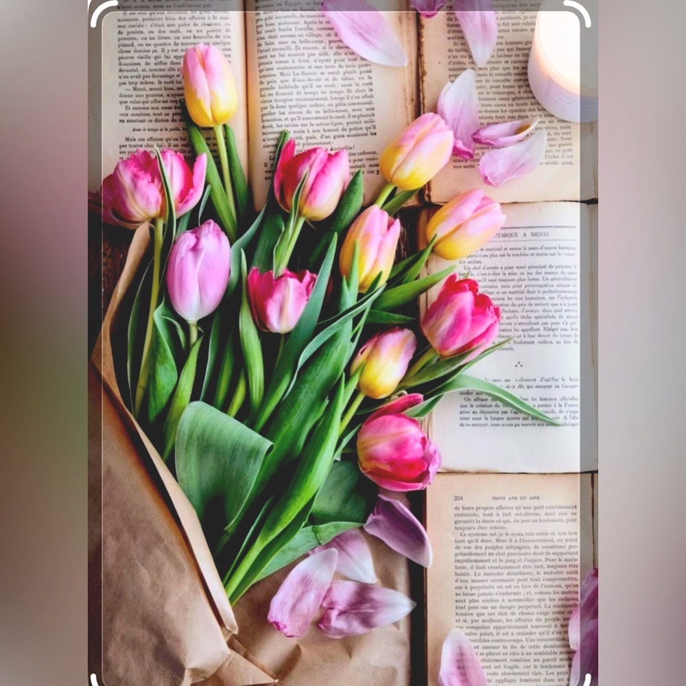 ALL ABOUT YOU SHOW!🌷🌷🌷🌷
